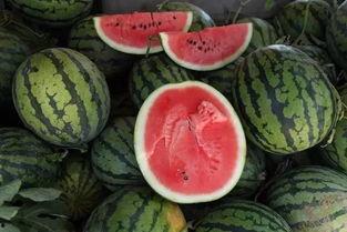 趴着的吃瓜群众,吃瓜群众的热议焦点 第1张 趴着的吃瓜群众,吃瓜群众的热议焦点 第1张