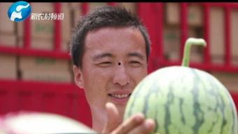 桶哥在线吃瓜,揭秘娱乐圈幕后风云 第3张 桶哥在线吃瓜,揭秘娱乐圈幕后风云 第3张